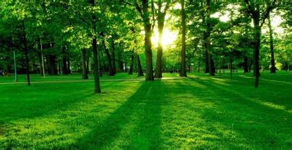 ��̼����С��ʿ ���������̼����