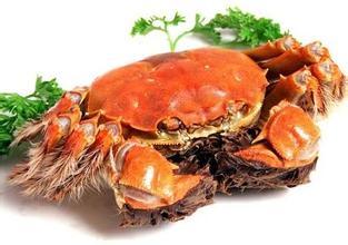 ���з��ô���� ��δ�����з