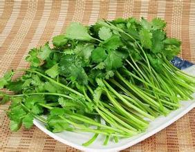 香菜的储存方法有哪些 香菜要怎么储存