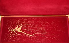 Ұɽ�ε�ҩ�ü�ֵ Ұɽ�ε�ҩ�ü�ֵ����Щ