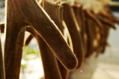 ¹�׵�ʳ�÷�������Щ ¹������Щʳ�÷�����