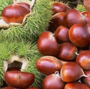 ���ӵĹ�Ч ���ӵĹ�Ч����Щ