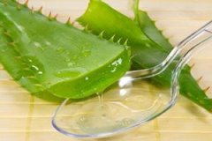 «��������������Щ «��������Щ����