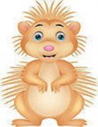 ���������ѱ���̥�̹��� ̥�̹��´�ȫ