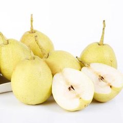 孕妇能吃梨吗孕妇饮食禁忌