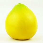 �и��ܳ�������������ʳ�ֲ�