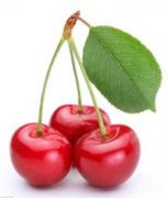 �и��ܳ�ӣ�����и�����ʳ