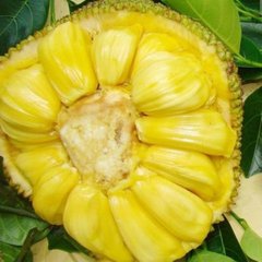奋斗
