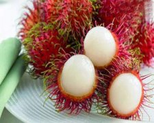 �и��ܳԺ�ë����������ʳ�ֲ�