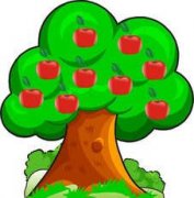 С�ܵ�ƻ��������̥�̹���