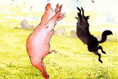 С����̥�̹��� ̥�̹��´�ȫ