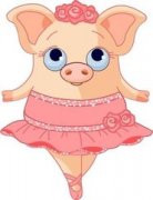 С������̥��С���� ̥�̹��´�ȫ