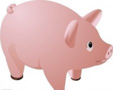 ̥��С���� ��͹���̥�̹���