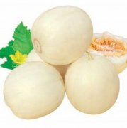 �и��ܳ�������и���ʳ��ȫ