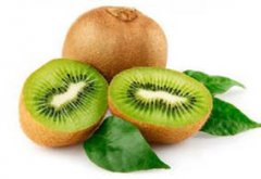 �и��ܳ�⨺����𽡿���ʳС��ʶ