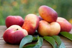 �и��ܳ������������ʳ�ֲ�