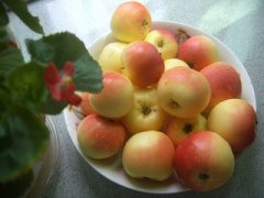 �и��ܳԺ��Ĺ���Ů����ʳ����֪ʶ