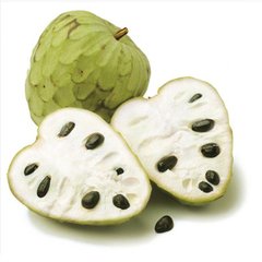 孕妇能吃释迦吗孕期饮食手册