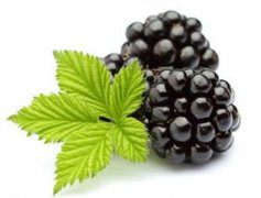 �и��ܳԺ�ݮ�𽡿���ʳ֪ʶ