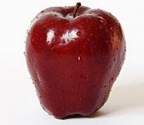 �и��ܳ��߹���������ʳ�ֲ�