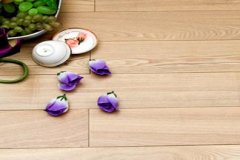 �ݶ�ľ�ذ�ò��� �ݶ�ľ�ذ����