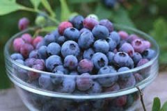 �и��ܳ���ݮ��������ʳ�ֲ�