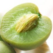 �и��ܳ���÷��������ʳ�ֲ�