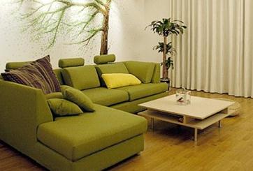 �����輸ѡ������Щע������