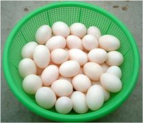 �и��ܳԸ��ӵ��� ���ڳԸ��ӵ�����