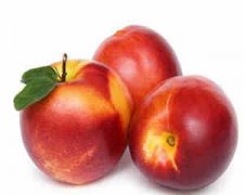 �и��ܲ��ܳ����� ���ڳ����Һ���