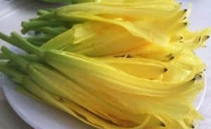 孕妇能吃黄花菜吗