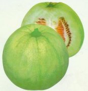 �и��ܳ������ �и��������ʲô�ô�