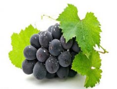 �и��ܲ��ܳ����� �и������Ѻò���