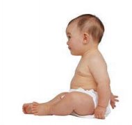 ���������� ������ƹ�����