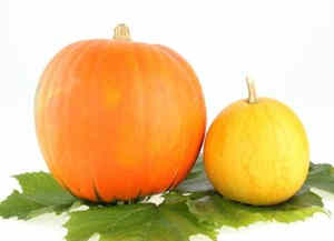 �����߸��³�ʲô��