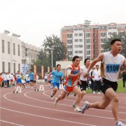 800���ܲ����� 800���ܲ���������Щ