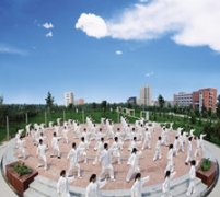 ���������˶� ǿ�������˶�