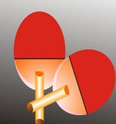 ƹ�����������򵥽��� ����С��ʿ