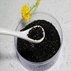 黑芝麻对头发的好处