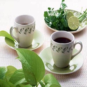 茶多酚抑制皮肤斑痕