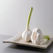 �ı����ʵĿ������� �������׵Ľ���