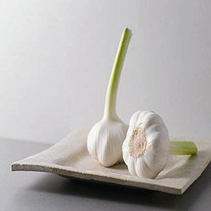 ıʵĿ