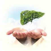 ���������ʳ�� ��α�������