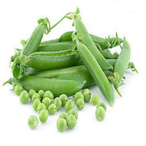 可以防癌的绿色蔬菜