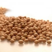 �ƶ��Ĺ�Ч �Իƶ���ע������