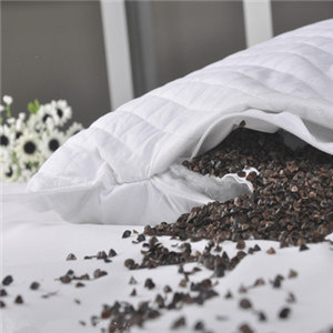 ��������ͷ