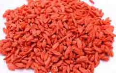 �������ǿ�Թ����� ���������Թ�����