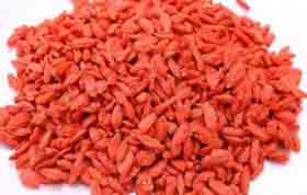 �������ǿ�Թ����� ���������Թ�����