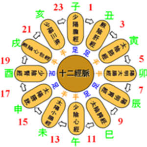 十二时辰养生法