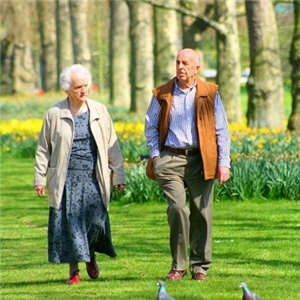 ��������������֪ʶ